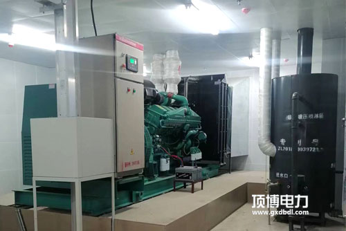 种植业广西顶博发电机组制造
